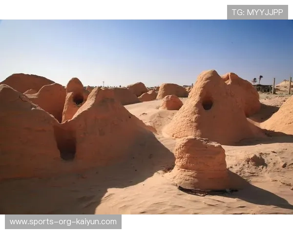 WRC突尼斯站：沙丘中的极速追逐，突尼斯阵容